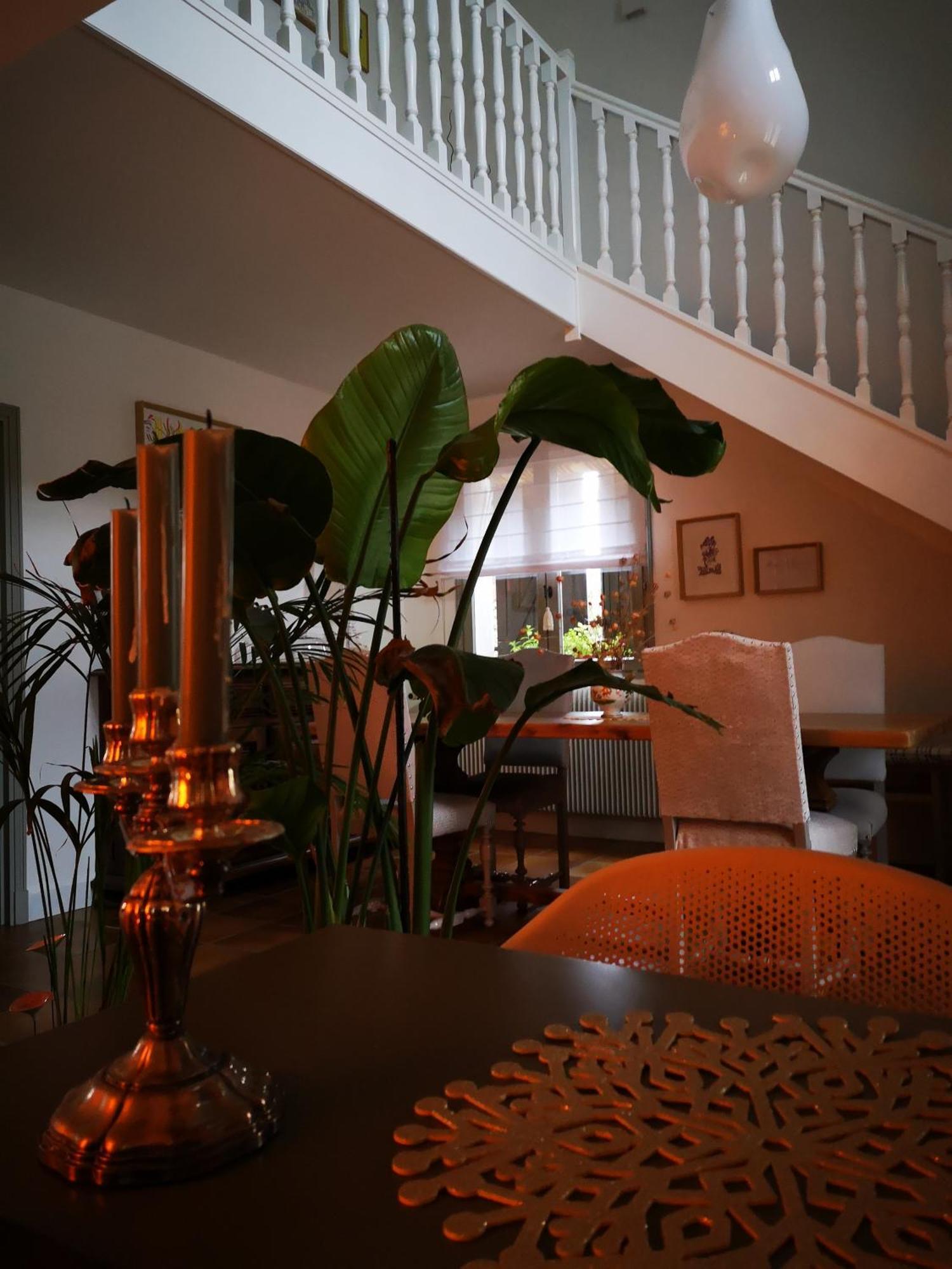 Maison Et Florescence Nuits-Saint-Georges Extérieur photo